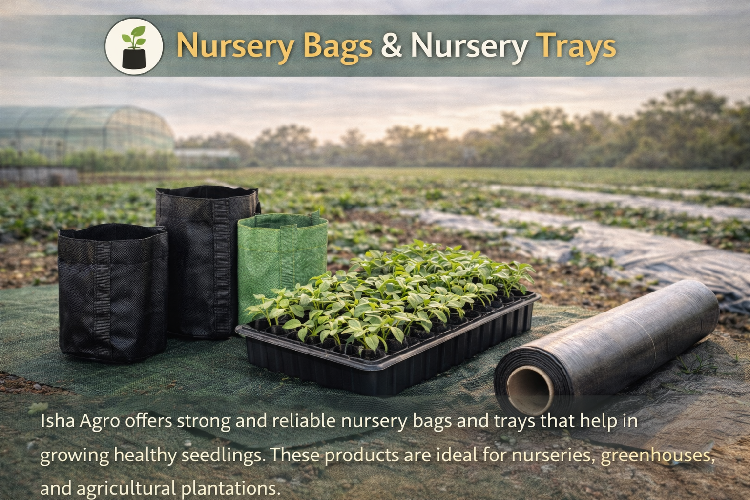 Nursery Bags & Nursery Trays